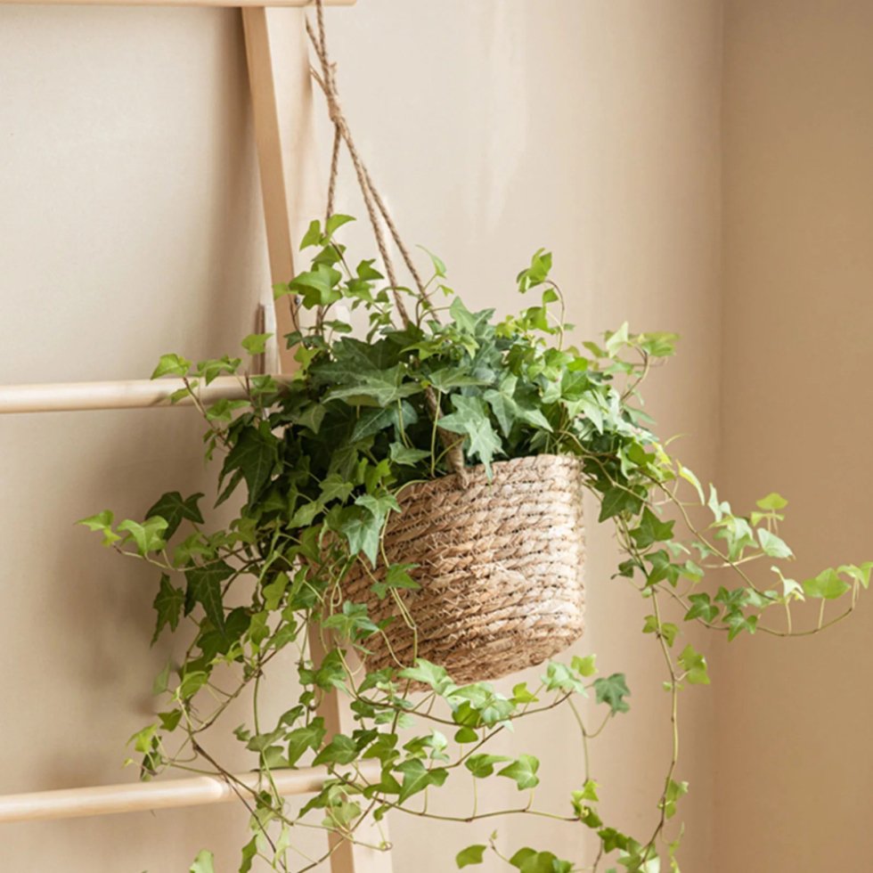 Hanging jute rope basket plant pot - Afbeelding 4